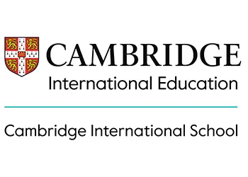 OptimizedImage,Optimized