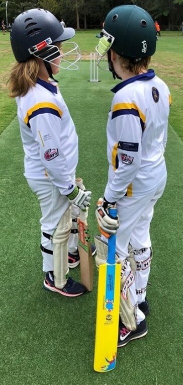 OriginalImage,,,Original