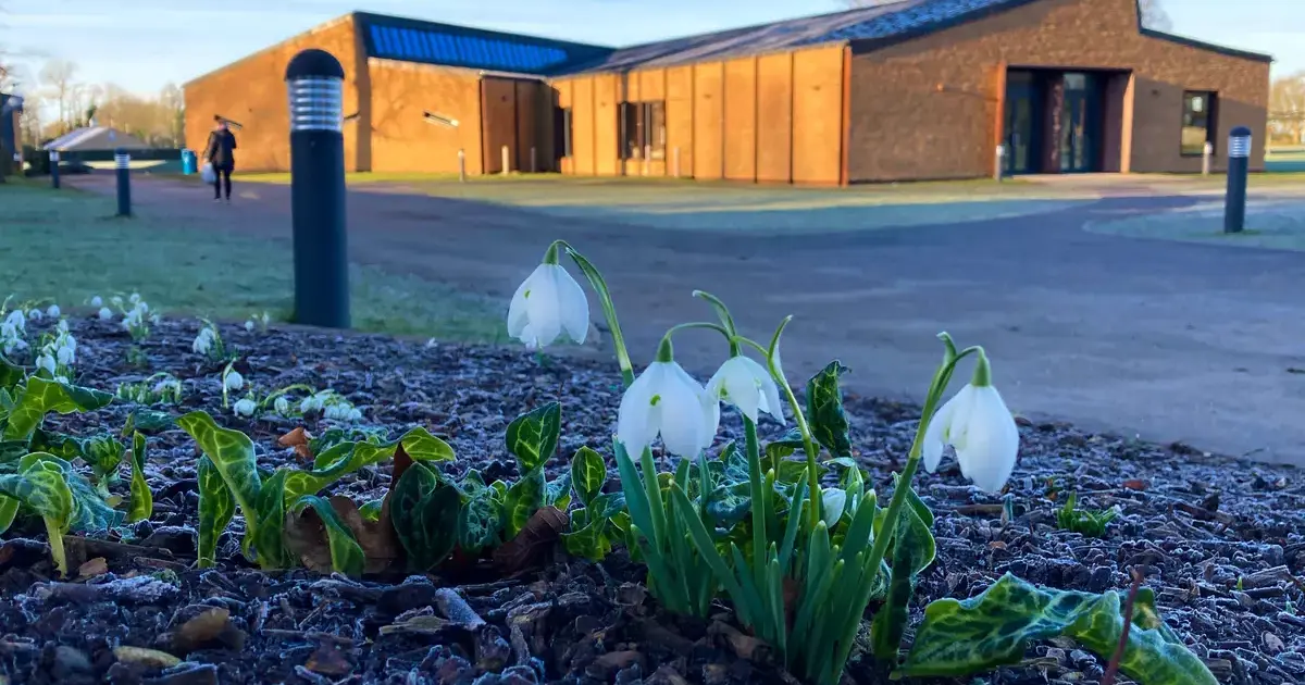 Pocklington School Art and Design Centre with snowdrops in foregroundPage Image