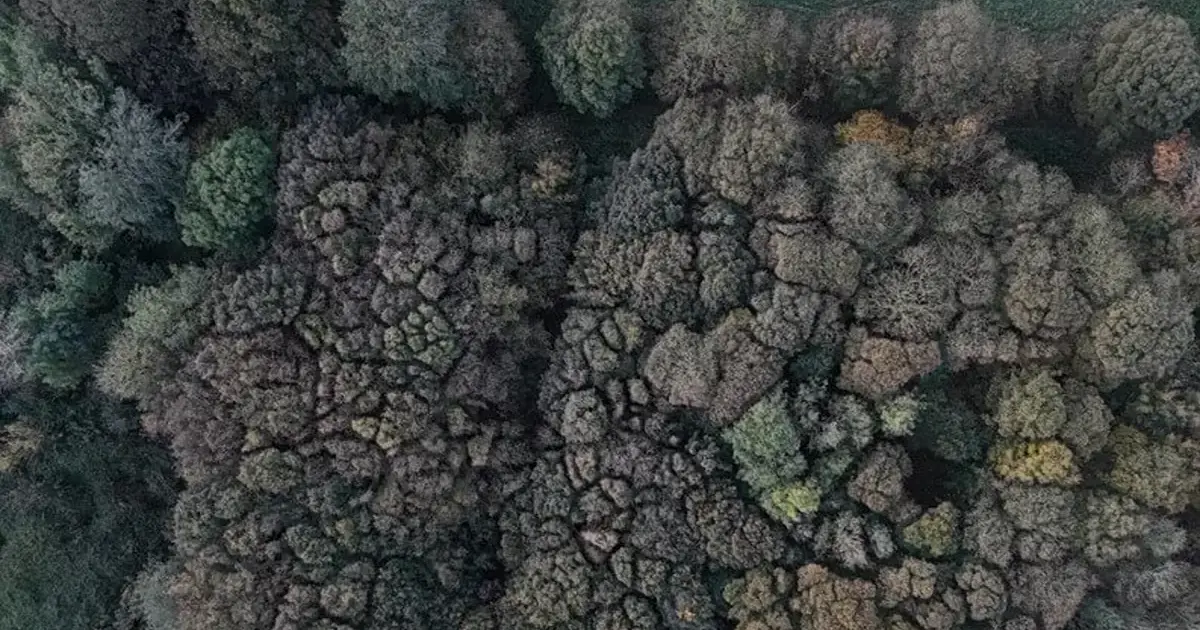 Middle School winner of the Science Week photography competition at Pocklington School, a private day and boarding school for girls and boys near York