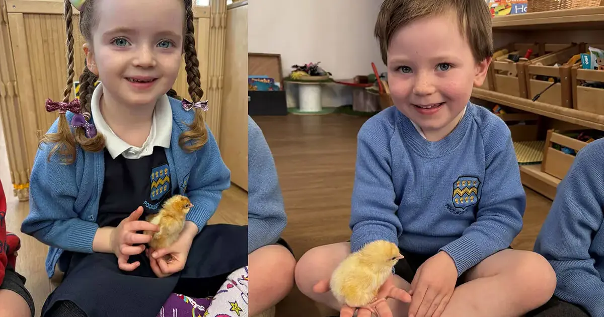 Pocklington Prep School pupil holding a chick in classPage Image